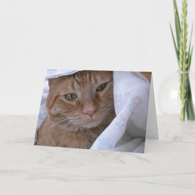 Cartão Feliz aniversário (Frente)