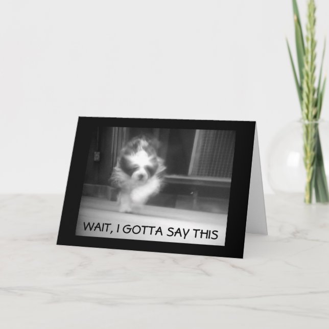 CARTÃO FELIZ **ANIVERSÁRIO 13** DIZ OVELHA LEGAL (Frente)