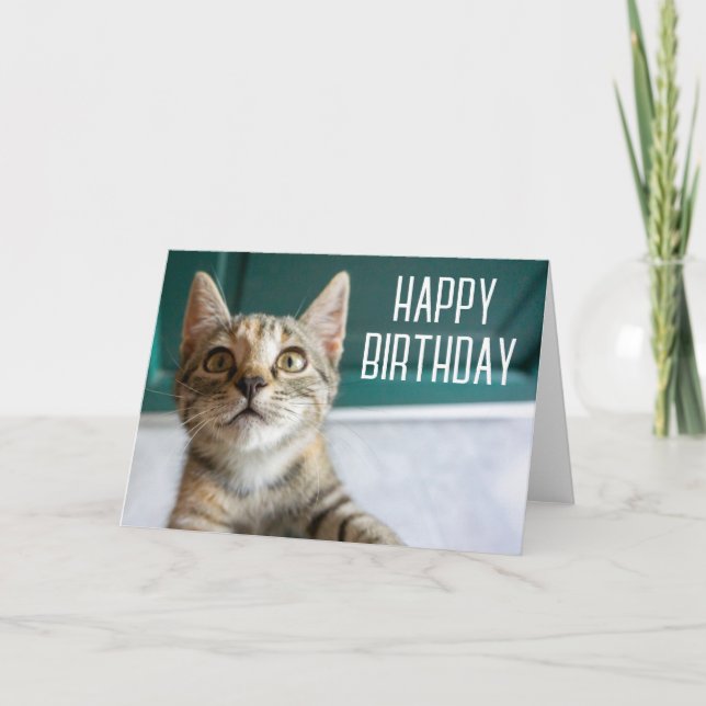 Cartão Feliz Aniversário | Adorável Gatinho Tabby (Frente)
