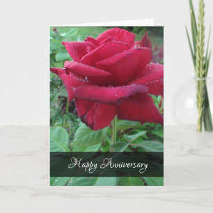 Cartão Feliz Aniversário Ama Rosa vermelha Raindrots Car
