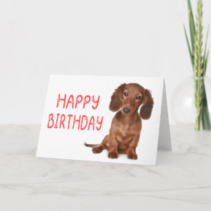 Cartão Feliz Aniversário Amante de Cachorro Dachshund Fof