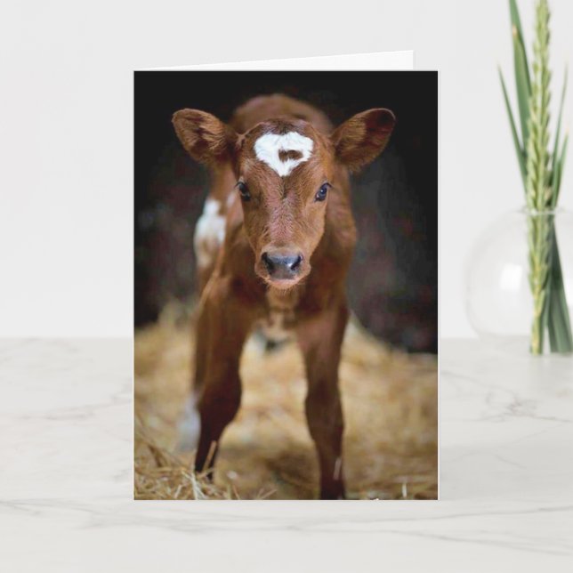 Cartão "FELIZ ANIVERSÁRIO" AO meu **IRMÃO** (Frente)