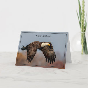 Cartão Feliz Aniversário - Bald Eagle