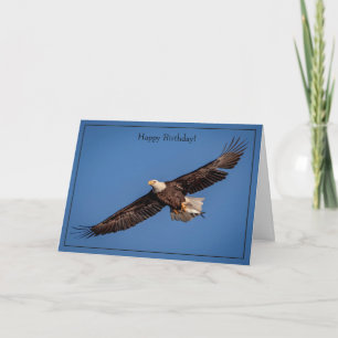 Cartão Feliz Aniversário - Bald Eagle