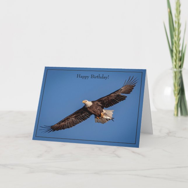 Cartão Feliz Aniversário - Bald Eagle (Frente)