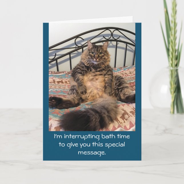 Cartão Feliz Aniversário Bath Time Kimber Cat (Frente)