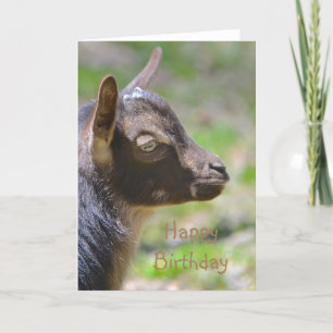 Cartão Feliz Aniversário Bebê Goat