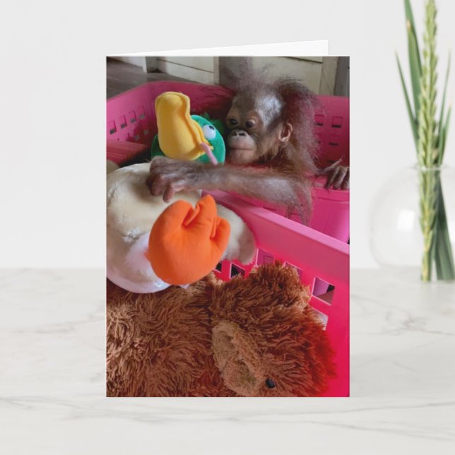 Cartão Feliz Aniversário Bebê Orangutan Capta Brinquedos (Frente)