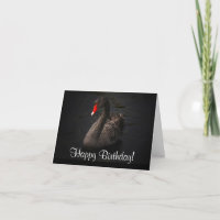 Feliz Aniversário Bela Cisne Negro