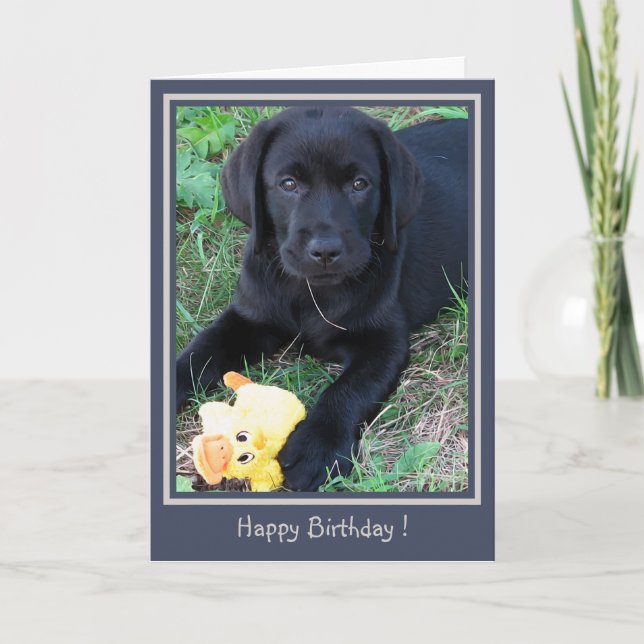 Cartão Feliz aniversário Black Lab Cute Puppy Puppy Dog (Frente)