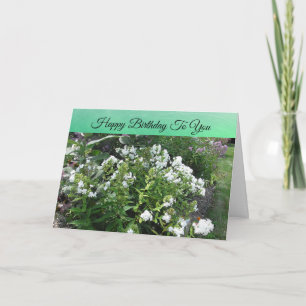 Cartão Feliz Aniversário Bonito Campo Branco de Flores
