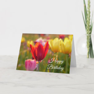 Cartão Feliz Aniversário Bonito Tulipcard