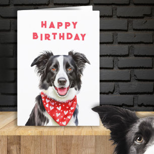 Cartão Feliz Aniversário Border Collie Bandana Vermelha d
