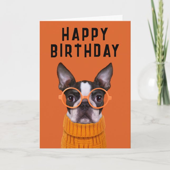 Cartão Feliz Aniversário | Boston Terrier Laranja (Frente)