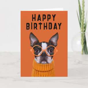 Cartão Feliz Aniversário Boston Terrier Laranja