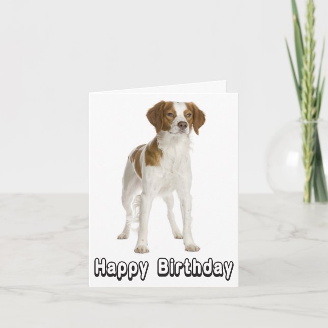 Cartão Feliz Aniversário Brittany Spaniel Puppy Dog Card (Frente)