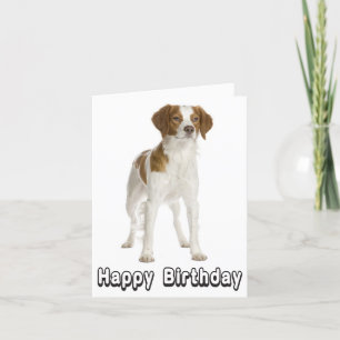 Cartão Feliz Aniversário Brittany Spaniel Puppy Dog Card