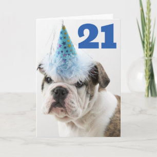 Cartão Feliz Aniversário   Cachorrinho Bulldog Britânico