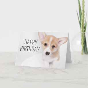 Cartão Feliz Aniversário   Cachorrinho Corgi Jovem
