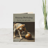 Feliz Aniversário Cachorro Bonito Você não é Velho
