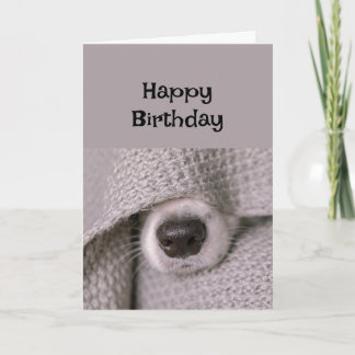 Cartão Feliz aniversário Cachorro debaixo de cobertor na