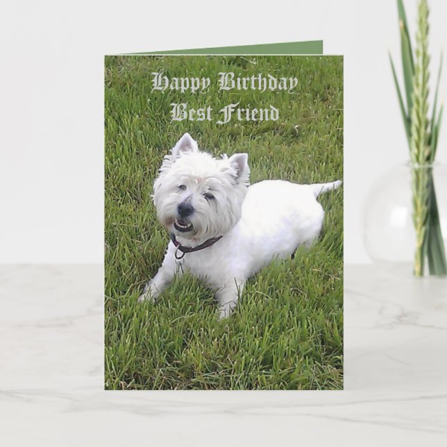 Cartão Feliz Aniversário Caro Amigo (Frente)