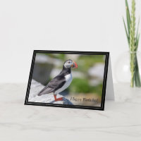 Feliz Aniversário Carteira Atlântica Puffin