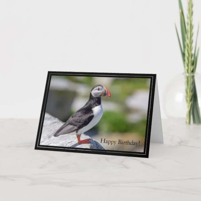 Cartão Feliz Aniversário Carteira Atlântica Puffin (Frente)