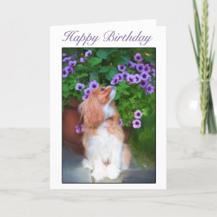 Cartão Feliz Aniversário Cheirando Flores Rei Charles Dog