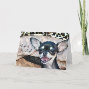 Cartão Feliz Aniversário, Chihuahua