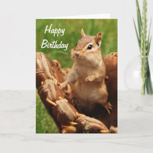 Cartão Feliz Aniversário Chipmunk Jogando Baseball