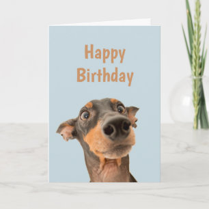 Cartão Feliz Aniversário Chocou Humor Animal Cachorro