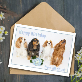 Cartão Feliz Aniversário Colega Cavalier King Charles Cac