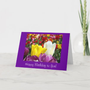 Cartão Feliz Aniversário Colorido Brilhante para Você! Tu