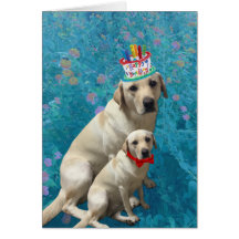 Feliz aniversário com Cães Labrador, Adorável