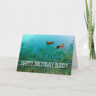 Cartão feliz aniversário companheiro (dois patos)