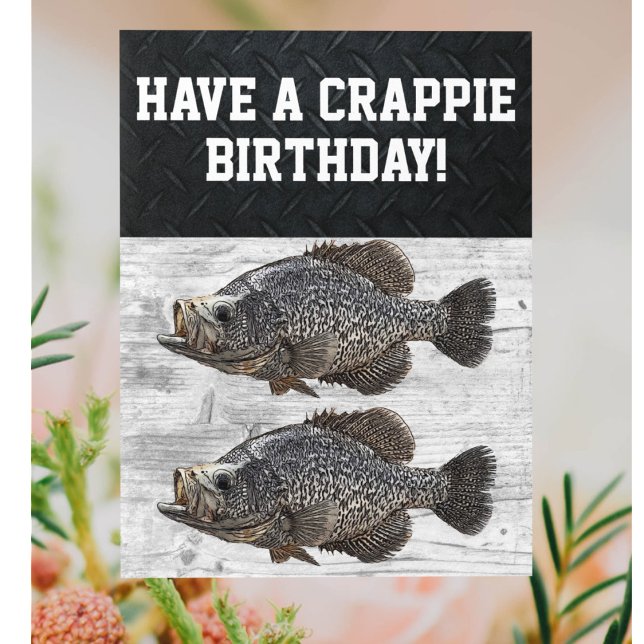 Cartão Feliz Aniversário Crappie Pesca Costura (A funny crappie fishing themed birthday card with a pun.)