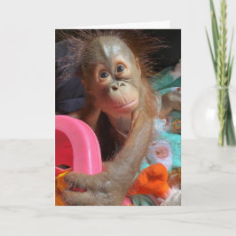 Cartão Feliz Aniversário Cute Baby Orangutan