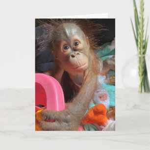 Cartão Feliz Aniversário Cute Baby Orangutan