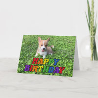 Feliz Aniversário Cute Corgi Foto Puppy Rainbow