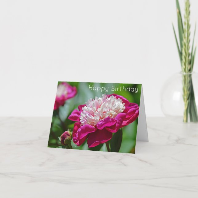 Cartão Feliz Aniversário da Flor de Peony Flor de Algodão (Frente)
