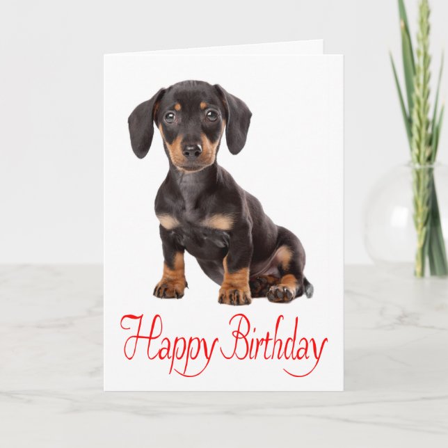 Cartão Feliz Aniversário Dachshund Puppy Dog Card (Frente)