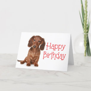 Cartão Feliz Aniversário Dachshund Puppy Dog Card