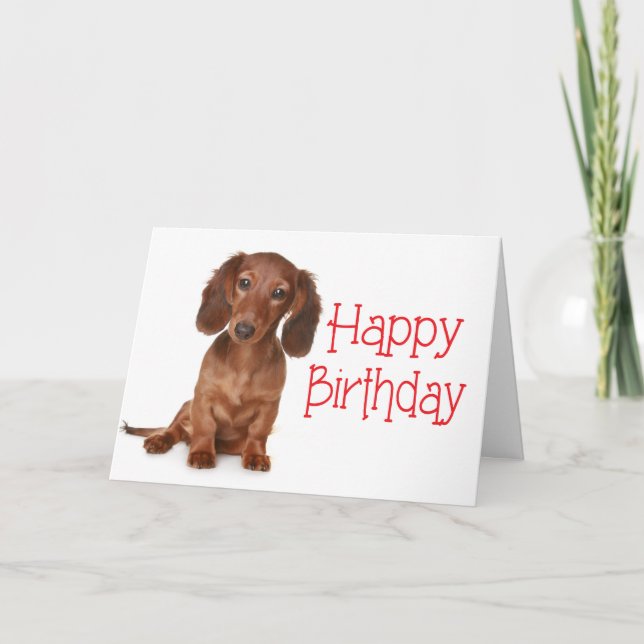 Cartão Feliz Aniversário Dachshund Puppy Dog Card (Frente)
