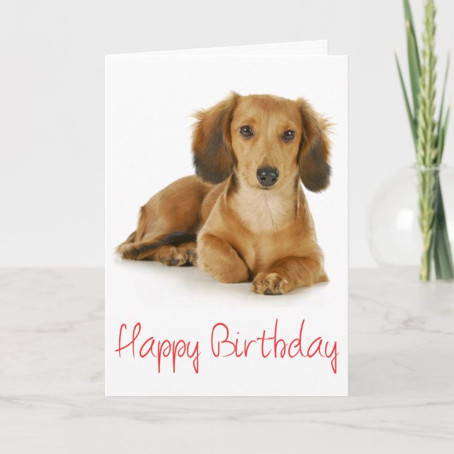 Cartão Feliz Aniversário Dachshund Puppy Dog Card (Frente)