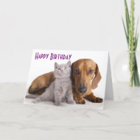 Feliz Aniversário Dachshund Puppy Dog Card