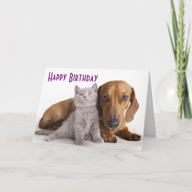 Cartão Feliz Aniversário Dachshund Puppy Dog Card (Frente)