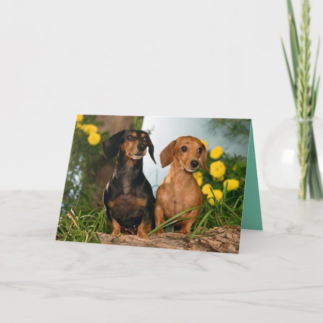 Cartão Feliz Aniversário Dachshund Puppy Dog Card (Frente)