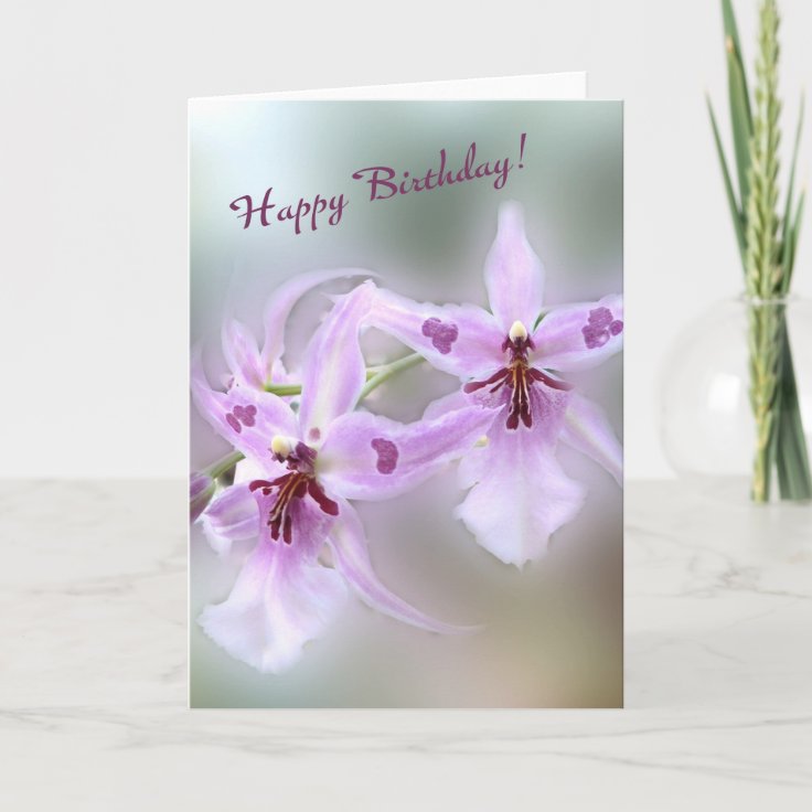 Cartão Feliz aniversario das orquídeas! | Zazzle.com.br