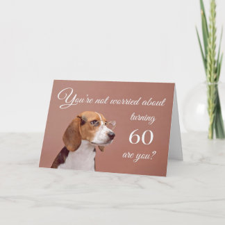 Cartão Feliz aniversário de 60 anos, beagle preocupado